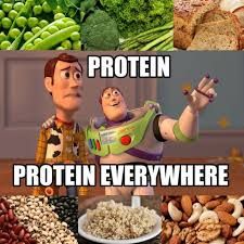 proteines-partout-vegetaux-proteines-vegetales